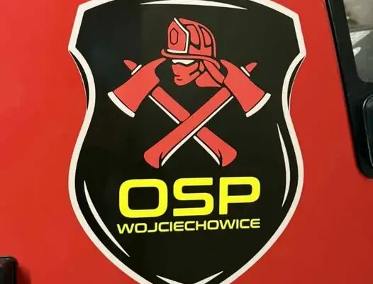 Interwencja OSP Wojciechowice: usuwanie gniazda owadów błonkoskrzydłych