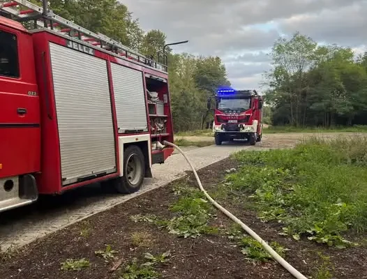Pożar traw przy ul. Jagodowej w Kłodzku – interwencja strażaków