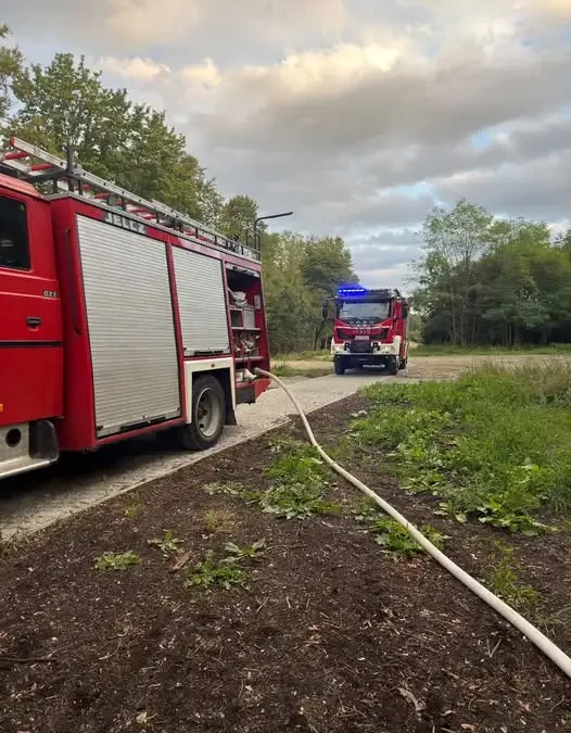 Pożar traw przy ul. Jagodowej w Kłodzku – interwencja strażaków