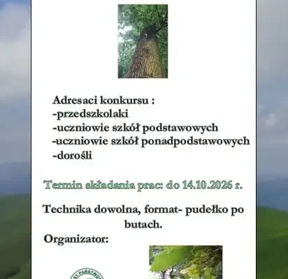 Konkurs plastyczny w Lądku-Zdroju: drugie życie pudełka po butach