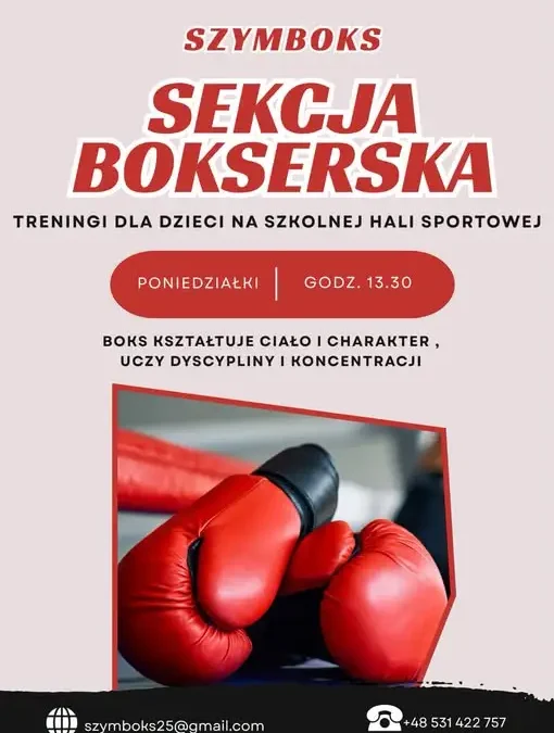 Nabór do sekcji bokserskiej w Lewinie Kłodzkim – darmowe zajęcia pokazowe już w poniedziałek