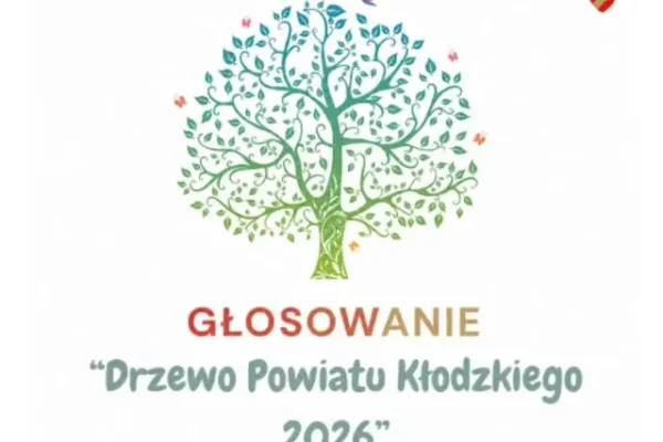 Buk pospolity z Kudowy-Zdroju walczy o tytuł Drzewa Powiatu Kłodzkiego 2026