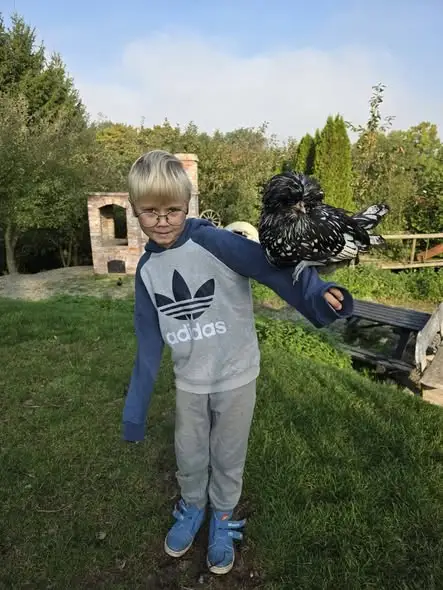 Jesienne wykopki klasy 3a w Zagrodzie Edukacyjnej Kowalowe Wzgórze w Kamieńcu