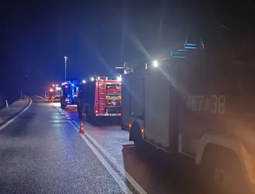 Pożar składowanego drewna przy DK-46 w Jaszkowej Dolnej. Interweniowało siedem zastępów straży pożarnej