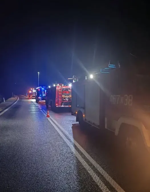 Pożar składowanego drewna przy DK-46 w Jaszkowej Dolnej. Interweniowało siedem zastępów straży pożarnej