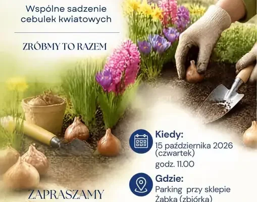 Wspólne sadzenie cebulek kwiatowych – zaproszenie dla mieszkańców