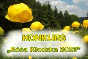 Róża Kłodzka 2026 – nowa kategoria i zmiany w regulaminie. Ruszyły zgłoszenia
