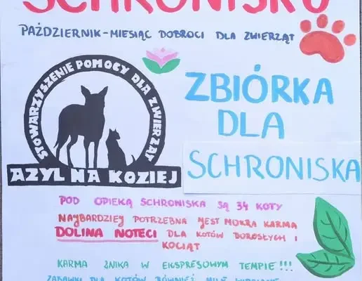 Uczniowie ze szkoły w Międzylesiu organizują zbiórkę dla schroniska „Azyl na Koziej”