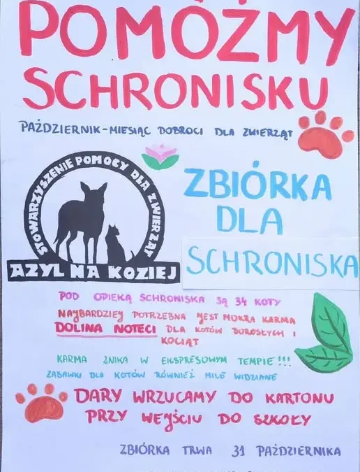 Uczniowie ze szkoły w Międzylesiu organizują zbiórkę dla schroniska „Azyl na Koziej”