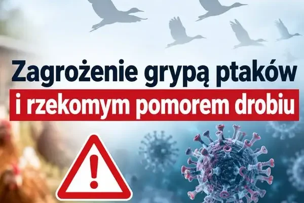 Ostrzeżenie przed grypą ptaków i rzekomym pomorem drobiu – apel do mieszkańców