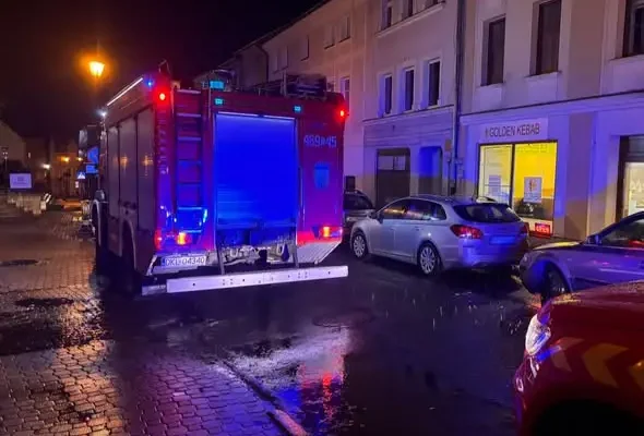 Dwie interwencje w Dusznikach-Zdroju: powalone drzewo i czujka czadu
