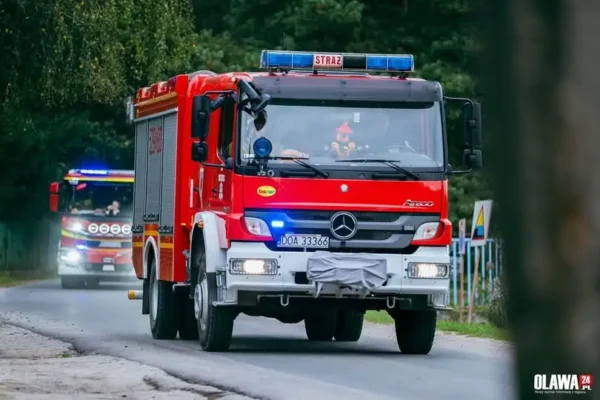 Dwa zdarzenia w Bystrzycy: pożar drzewa i powalone drzewo na jezdni