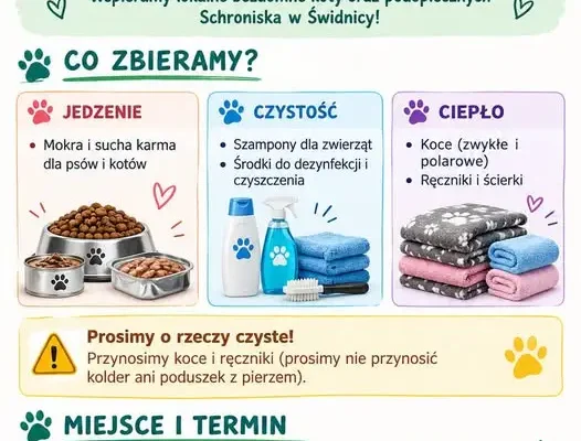 Zbiórka darów dla bezdomnych zwierząt – pomóż przetrwać zimę!