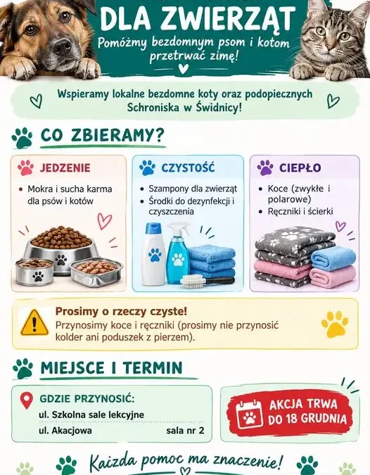 Zbiórka darów dla bezdomnych zwierząt – pomóż przetrwać zimę!